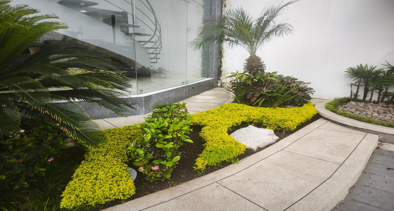 Jardinería profesional en acceso de edificio corporativo, diseño de áreas verdes por LIMPIAZEN