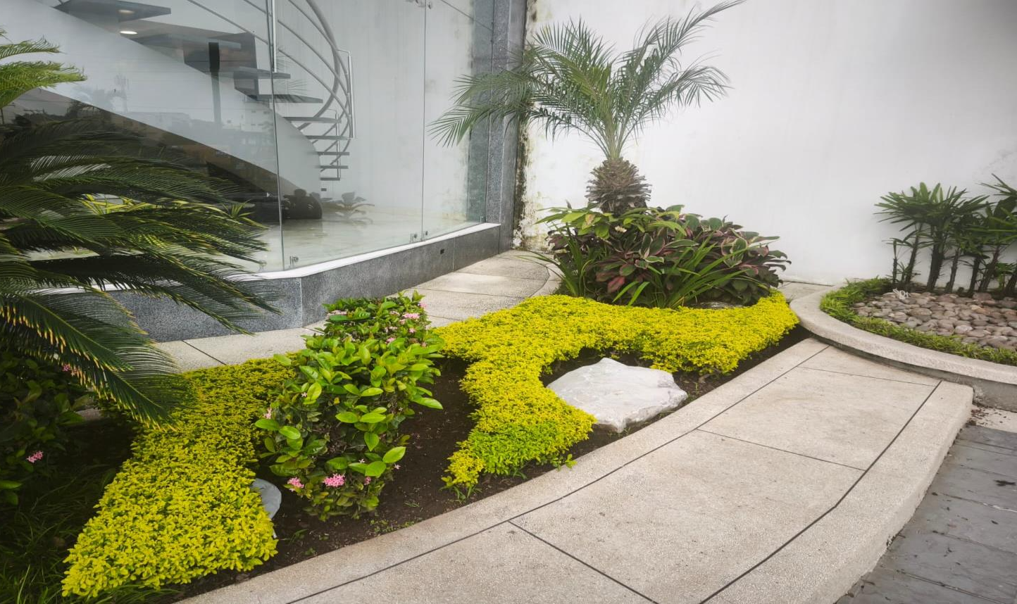 Jardinería profesional en acceso de edificio corporativo