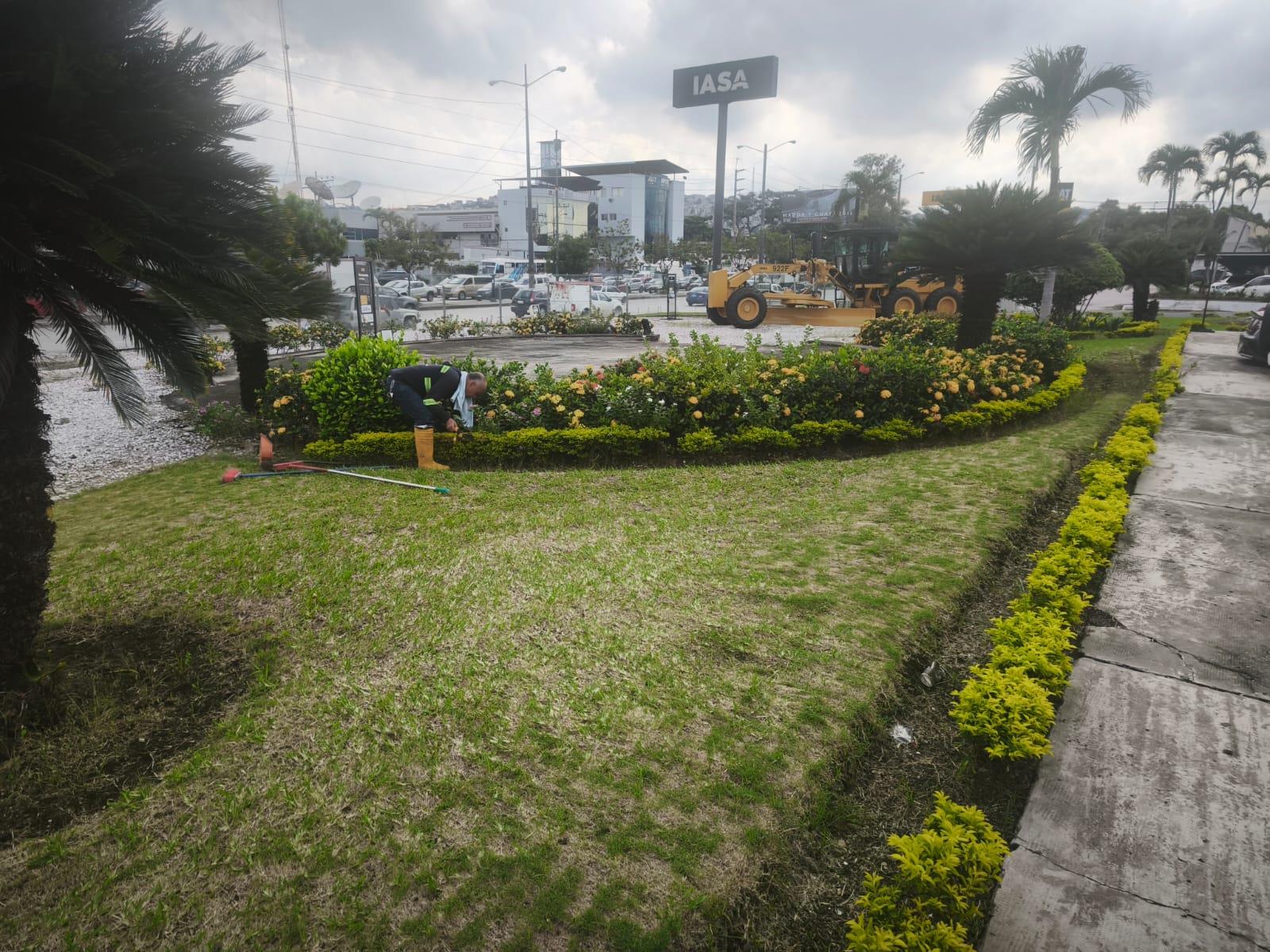 Técnico de LIMPIAZEN realizando mantenimiento de áreas verdes en instalaciones de IASA, Guayaquil