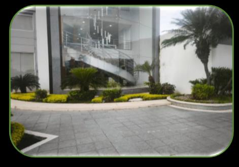 Diseño y mantenimiento de jardín en acceso de edificio corporativo