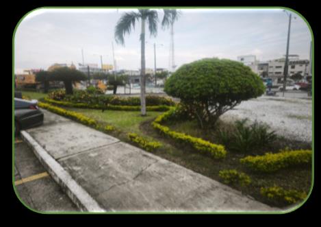 Mantenimiento de acceso vehicular